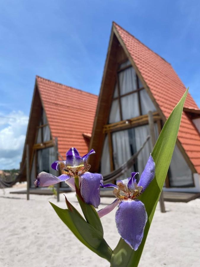 Vila Pahu - Caraiva Exterior photo